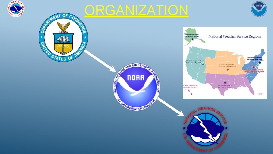 ORGANIZATION ORGANIZATION