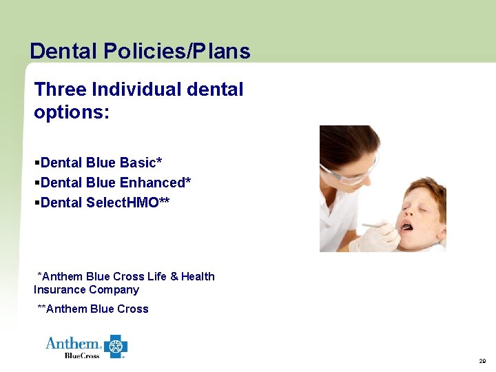 Dental Policies/Plans Three Individual dental options: §Dental Blue Basic* §Dental Blue Enhanced* §Dental Select. Dental Policies/Plans Three Individual dental options: §Dental Blue Basic* §Dental Blue Enhanced* §Dental Select.