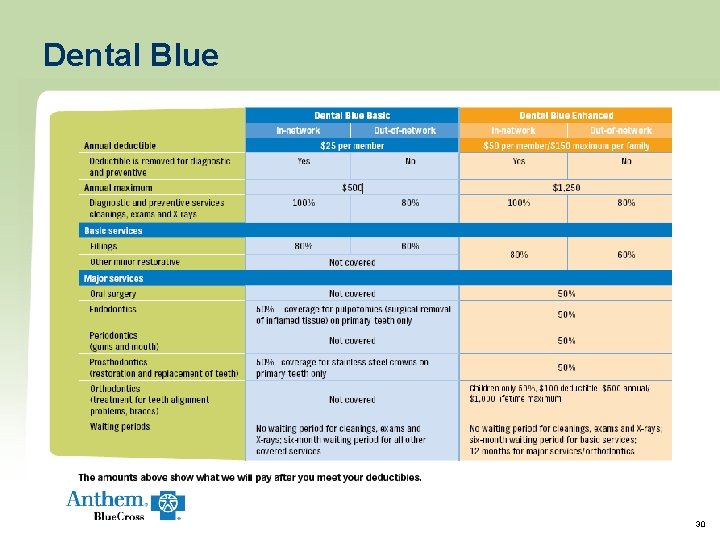 Dental Blue 30 Dental Blue 30