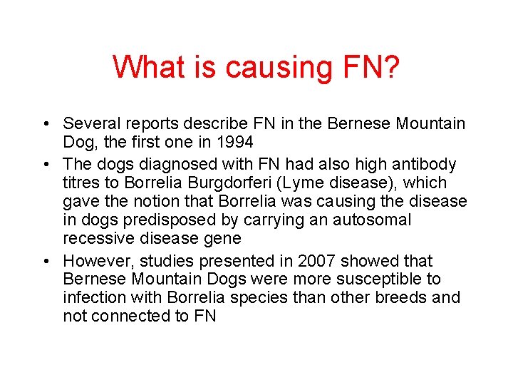 What is causing FN? • Several reports describe FN in the Bernese Mountain Dog,