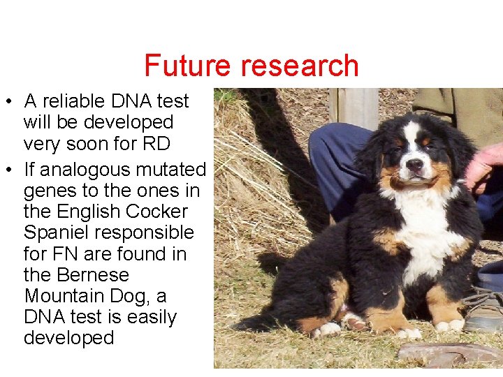 Future research • A reliable DNA test will be developed very soon for RD