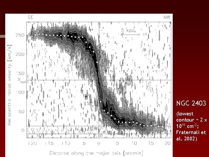 NGC 2403 (lowest contour ~ 2 x 1019 cm-2; Fraternali et al. 2002) 