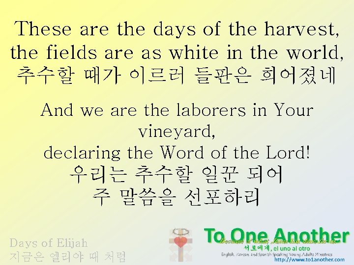 These are the days of the harvest, the fields are as white in the
