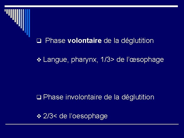 q Phase volontaire de la déglutition v Langue, pharynx, 1/3> de l’œsophage q Phase