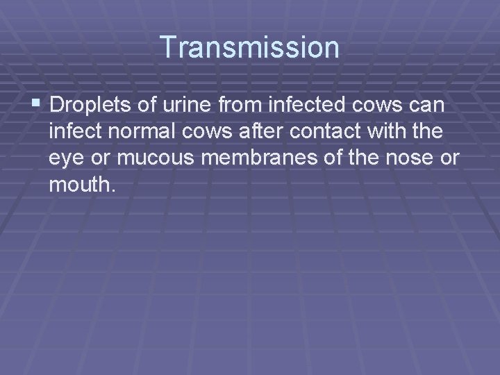 Transmission § Droplets of urine from infected cows can infect normal cows after contact