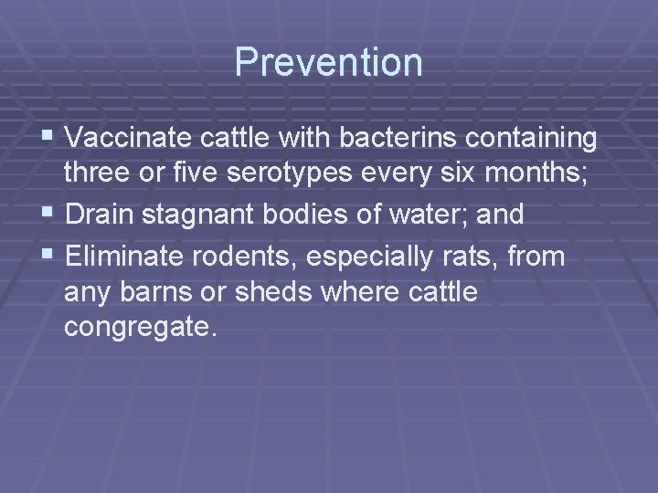 Prevention § Vaccinate cattle with bacterins containing three or five serotypes every six months;