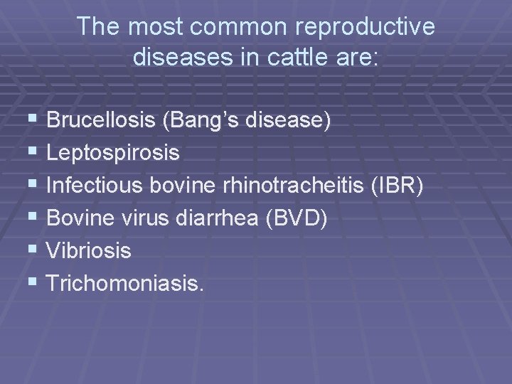 The most common reproductive diseases in cattle are: § Brucellosis (Bang’s disease) § Leptospirosis