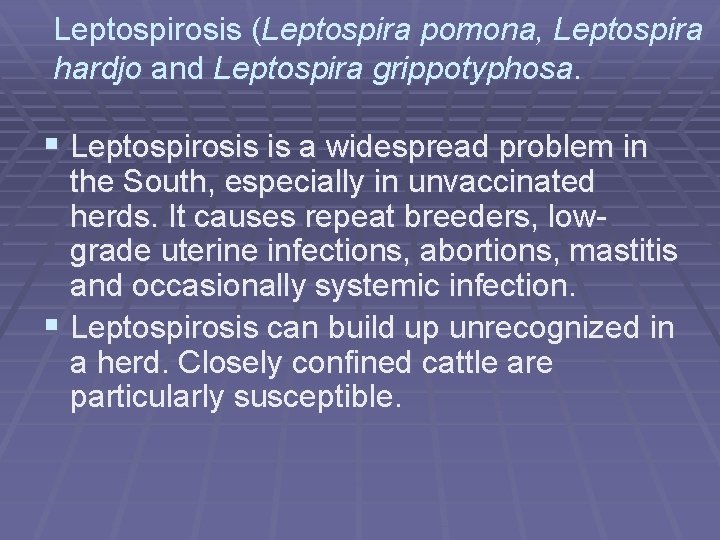 Leptospirosis (Leptospira pomona, Leptospira hardjo and Leptospira grippotyphosa. § Leptospirosis is a widespread problem