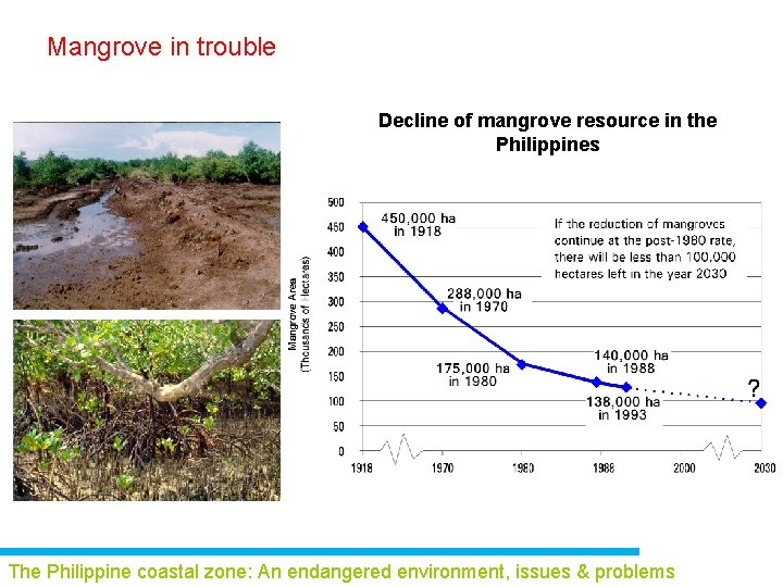 Mangrove in trouble Decline of mangrove resource in the Philippines The Philippine coastal zone: