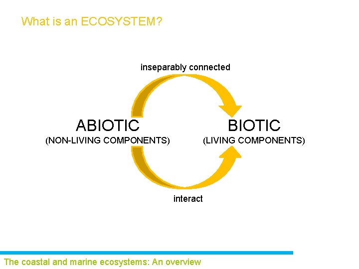 What is an ECOSYSTEM? inseparably connected ABIOTIC (NON-LIVING COMPONENTS) (LIVING COMPONENTS) interact The coastal
