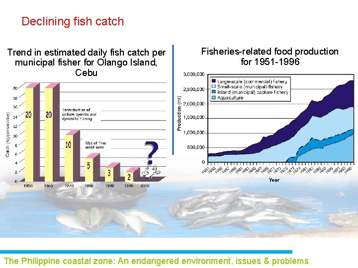 Declining fish catch Trend in estimated daily fish catch per municipal fisher for Olango