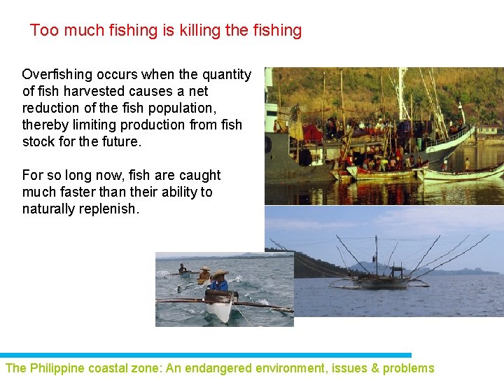 Too much fishing is killing the fishing Overfishing occurs when the quantity of fish