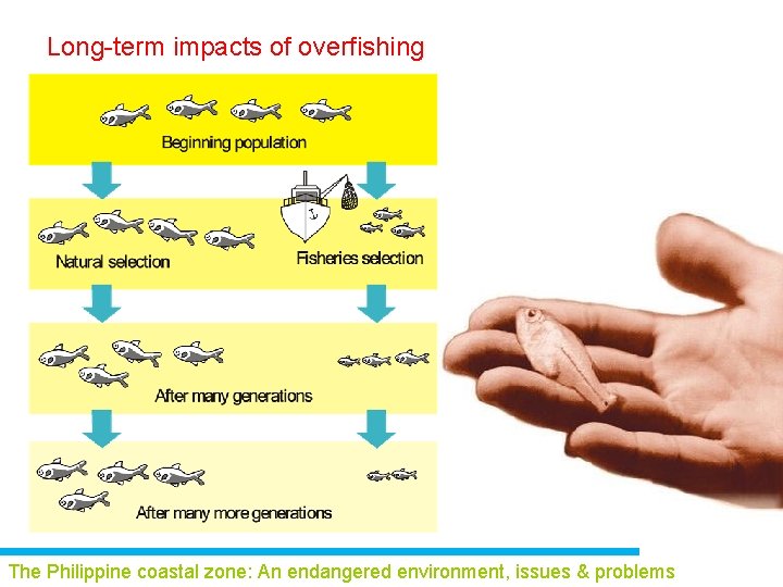 Long-term impacts of overfishing The Philippine coastal zone: An endangered environment, issues & problems