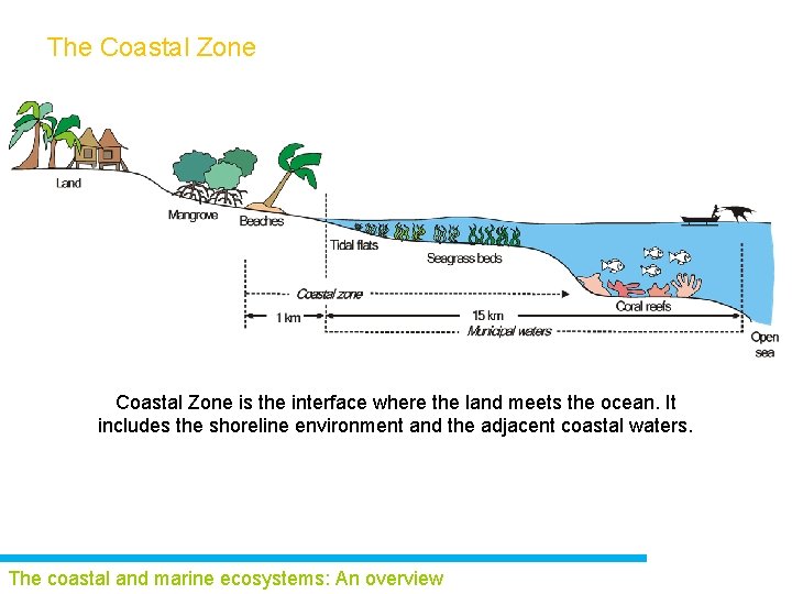 The Coastal Zone is the interface where the land meets the ocean. It includes