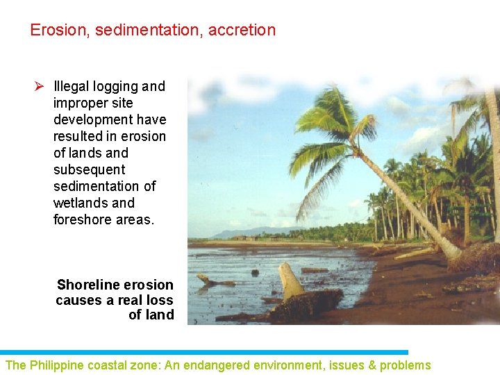 Erosion, sedimentation, accretion Ø Illegal logging and improper site development have resulted in erosion