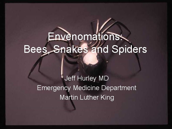 Envenomations: Bees, Snakes and Spiders Jeff Hurley MD Emergency Medicine Department Martin Luther King