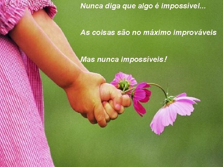 Nunca diga que algo é impossível. . . As coisas são no máximo improváveis