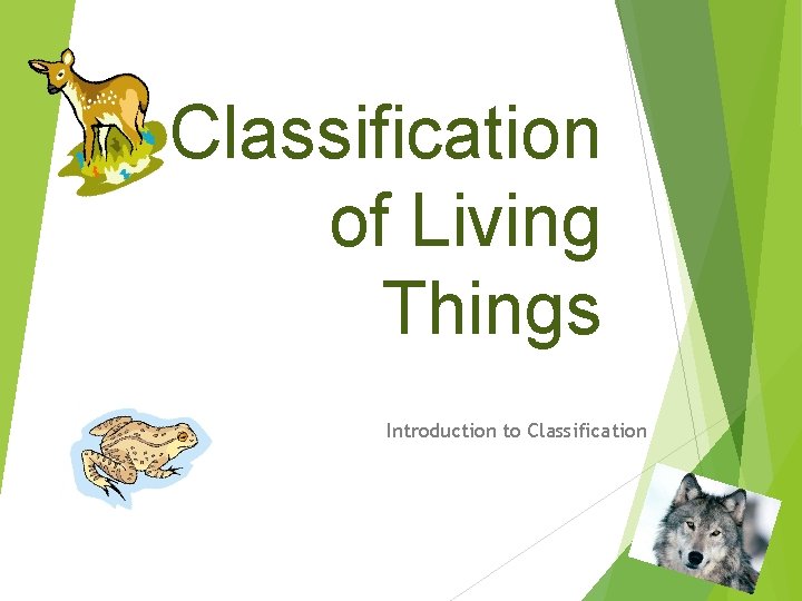 Classification of Living Things Introduction to Classification 