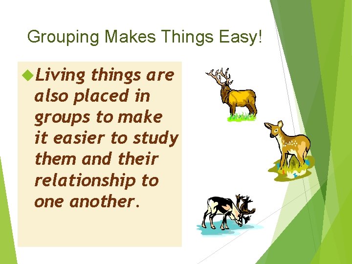 Grouping Makes Things Easy! Living things are also placed in groups to make it