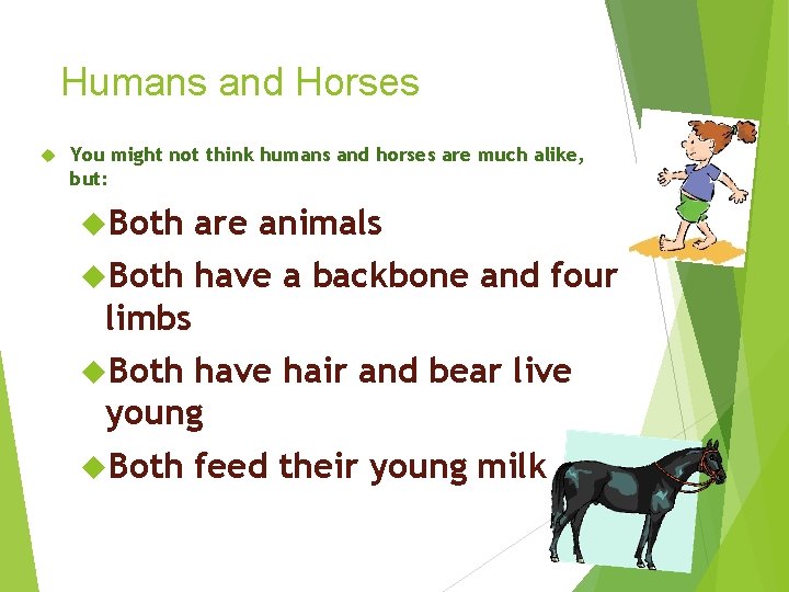 Humans and Horses You might not think humans and horses are much alike, but: