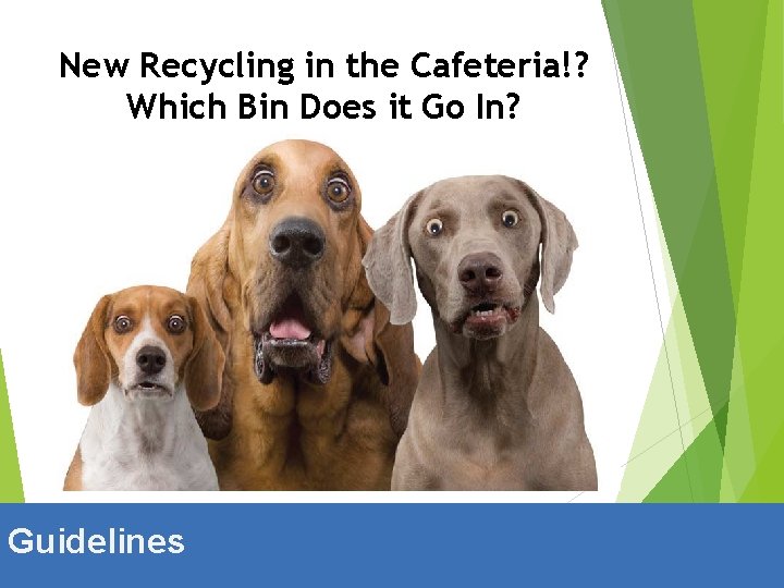 New Recycling in the Cafeteria!? Which Bin Does it Go In? Guidelines 