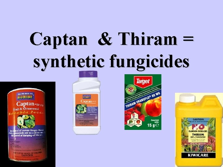 Captan & Thiram = synthetic fungicides 