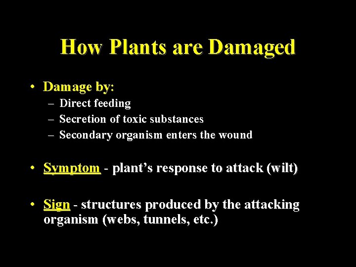 How Plants are Damaged • Damage by: – – – Direct feeding Secretion of