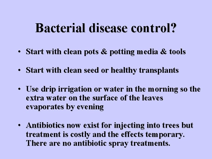 Bacterial disease control? • Start with clean pots & potting media & tools •