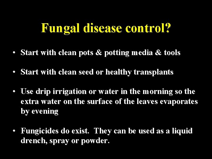 Fungal disease control? • Start with clean pots & potting media & tools •