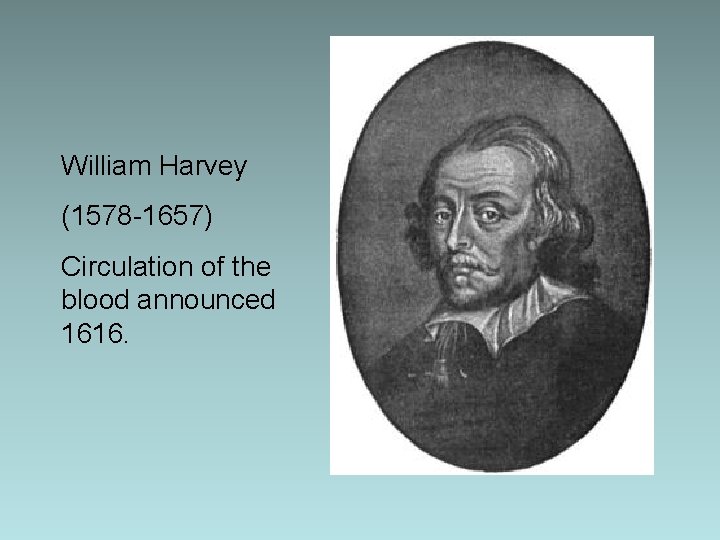 William Harvey (1578 -1657) Circulation of the blood announced 1616. William Harvey (1578 -1657) Circulation of the blood announced 1616.