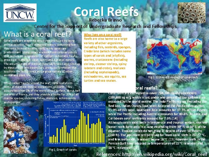 Coral Reefs Rebecka Brasso Center for the Support of Undergraduate Research and Fellowships What Coral Reefs Rebecka Brasso Center for the Support of Undergraduate Research and Fellowships What