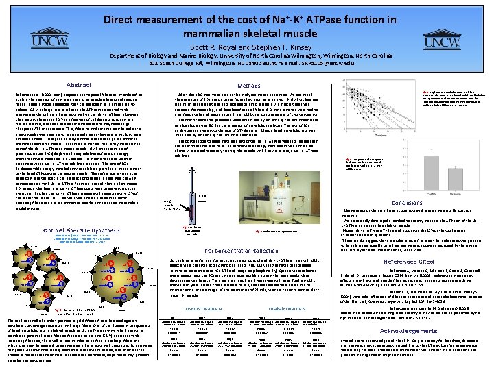 Direct measurement of the cost of Na+-K+ ATPase function in mammalian skeletal muscle Scott Direct measurement of the cost of Na+-K+ ATPase function in mammalian skeletal muscle Scott