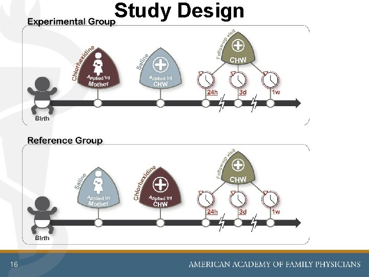 Study Design 16 Study Design 16