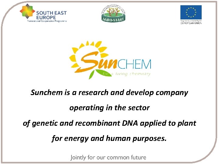 Sunchem is a research and develop company operating in the sector of genetic and