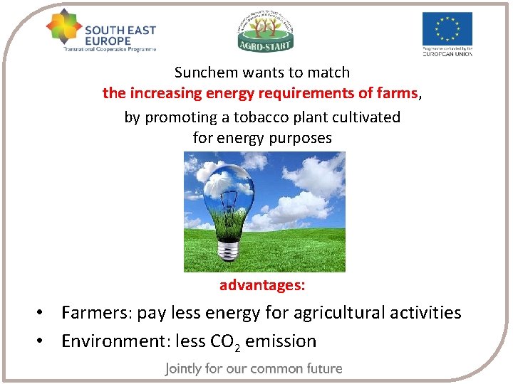 Sunchem wants to match the increasing energy requirements of farms, by promoting a tobacco