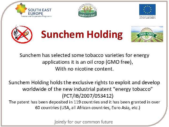 Sunchem Holding Sunchem has selected some tobacco varieties for energy applications it is an