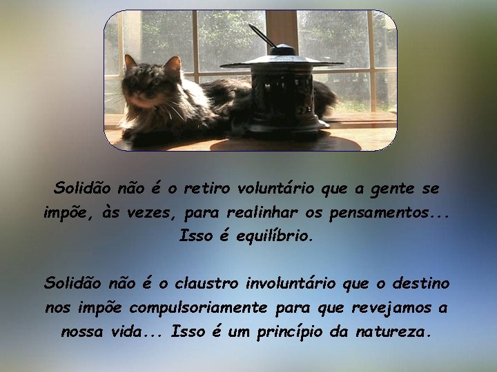 Solidão não é o retiro voluntário que a gente se impõe, às vezes, para
