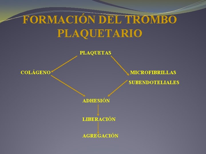 FORMACIÓN DEL TROMBO PLAQUETARIO PLAQUETAS COLÁGENO MICROFIBRILLAS SUBENDOTELIALES ADHESIÓN LIBERACIÓN AGREGACIÓN FORMACIÓN DEL TROMBO PLAQUETARIO PLAQUETAS COLÁGENO MICROFIBRILLAS SUBENDOTELIALES ADHESIÓN LIBERACIÓN AGREGACIÓN
