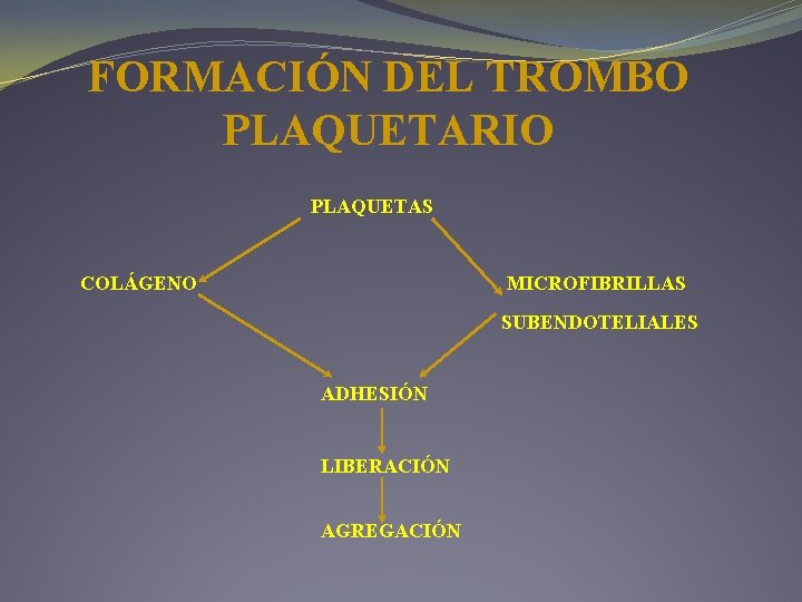 FORMACIÓN DEL TROMBO PLAQUETARIO PLAQUETAS COLÁGENO MICROFIBRILLAS SUBENDOTELIALES ADHESIÓN LIBERACIÓN AGREGACIÓN 