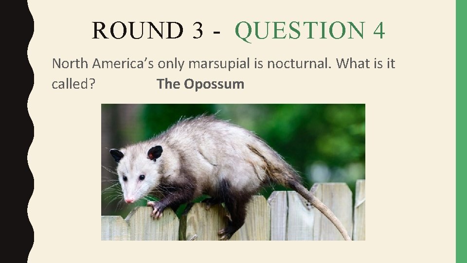 ROUND 3 - QUESTION 4 North America’s only marsupial is nocturnal. What is it