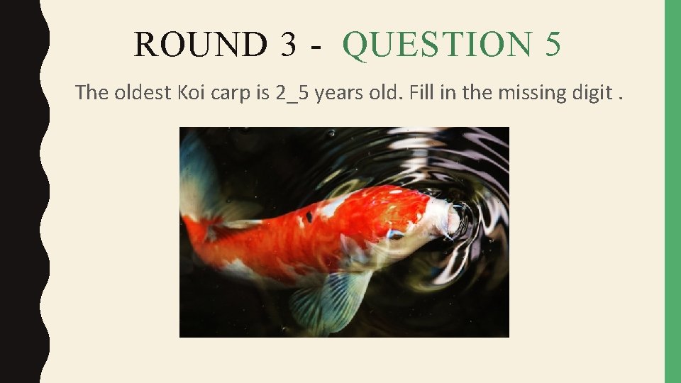 ROUND 3 - QUESTION 5 The oldest Koi carp is 2_5 years old. Fill