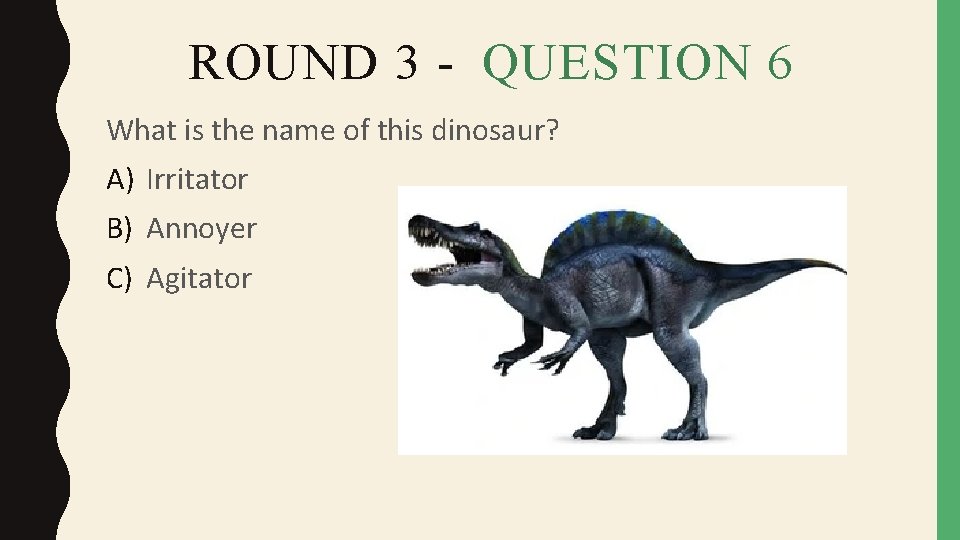 ROUND 3 - QUESTION 6 What is the name of this dinosaur? A) Irritator