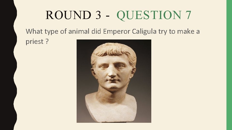 ROUND 3 - QUESTION 7 What type of animal did Emperor Caligula try to