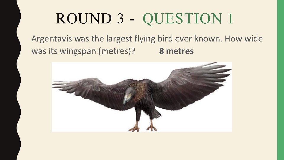 ROUND 3 - QUESTION 1 Argentavis was the largest flying bird ever known. How