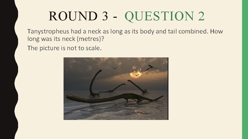 ROUND 3 - QUESTION 2 Tanystropheus had a neck as long as its body