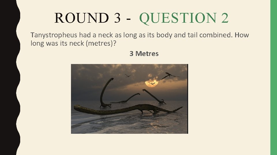 ROUND 3 - QUESTION 2 Tanystropheus had a neck as long as its body