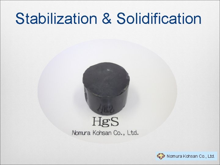 Stabilization & Solidification Nomura Kohsan Co. , Ltd. 