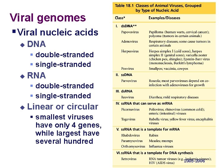 Viral genomes § Viral nucleic acids u DNA § double-stranded § single-stranded u RNA