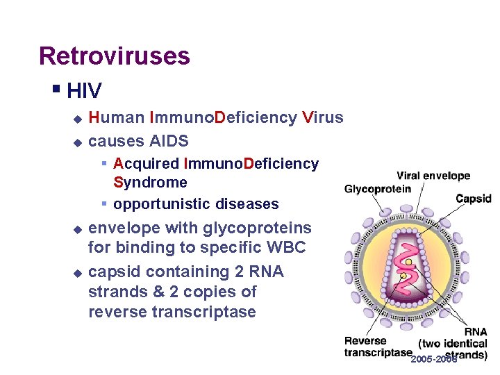 Retroviruses § HIV u u Human Immuno. Deficiency Virus causes AIDS § Acquired Immuno.