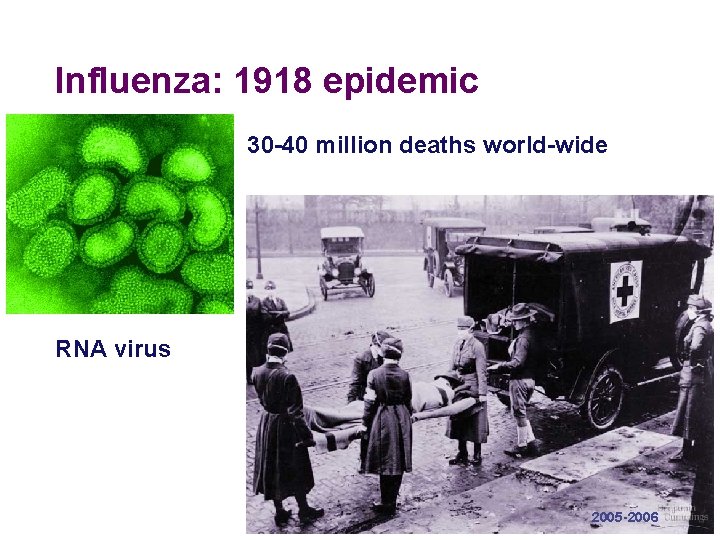 Influenza: 1918 epidemic 30 -40 million deaths world-wide RNA virus 2005 -2006 